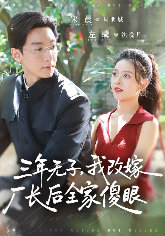 三年无子，我改嫁厂长后全家傻眼海报